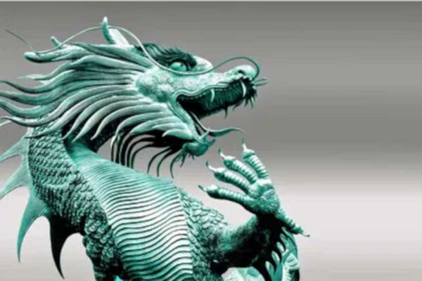 Turquoise Dragon | All-Natural Broad Spectrum Antibiotic and Antiviral - Image 5