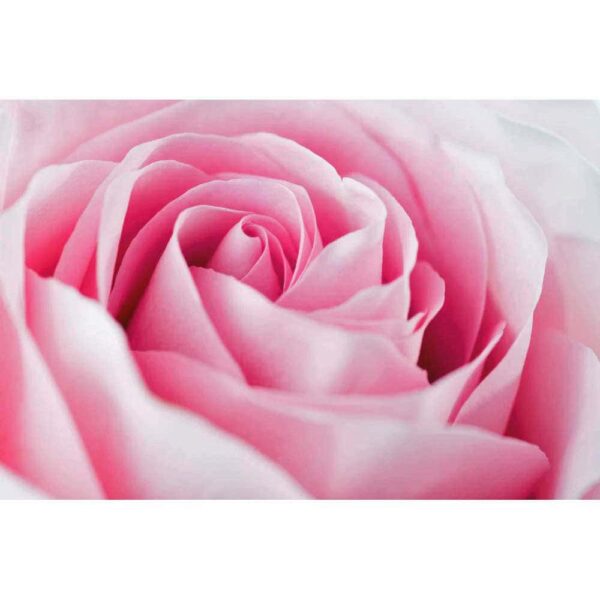 RoseGold ORMUS Auric Mist - Image 3