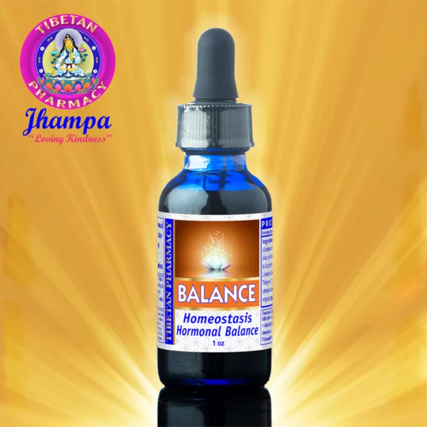 Balance SETI | Restore Hormonal Harmony - Image 2