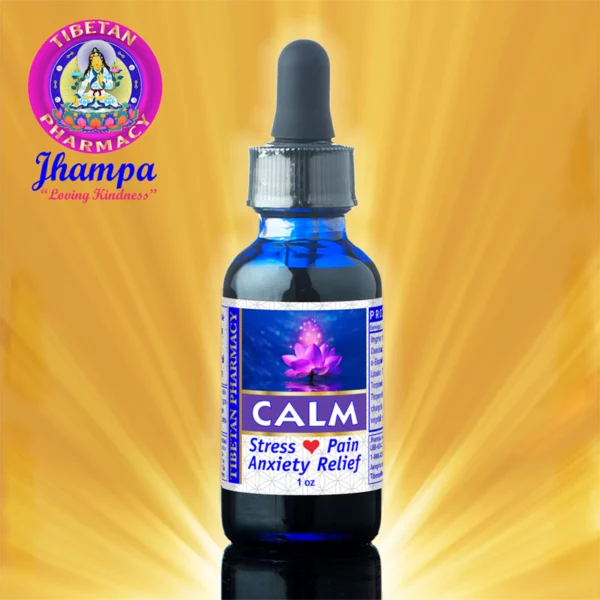 Calm SETI | Anxiety Relief - Image 2
