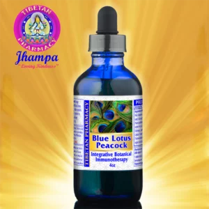 Blue Lotus Peacock | Potent Botanical Immune Regulation and Natural Chemotherapy