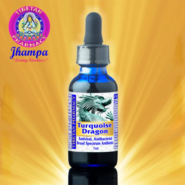 Turquoise Dragon | All-Natural Broad Spectrum Antibiotic and Antiviral - Image 2