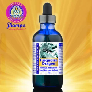 Turquoise Dragon | All-Natural Broad Spectrum Antibiotic and Antiviral