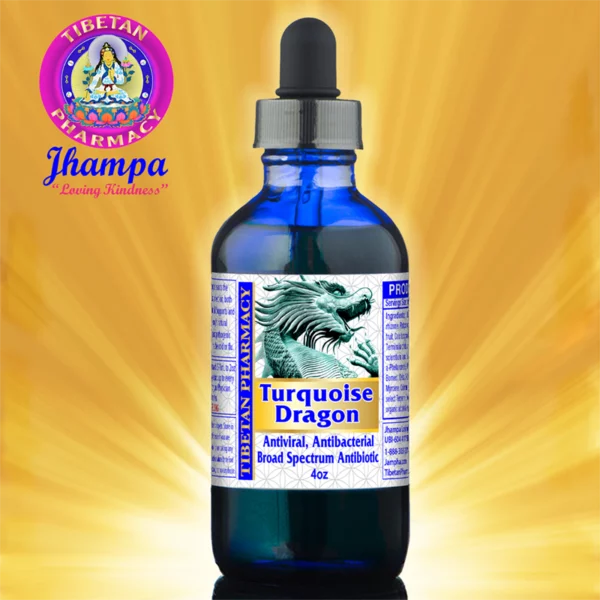 Turquoise Dragon | All-Natural Broad Spectrum Antibiotic and Antiviral