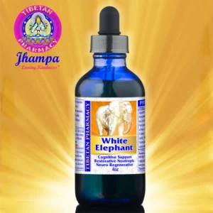 White Elephant | Improve Brain Health and Cognitive Function