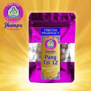 Pang Tzi 12 | Detox and Protect Blood and Organs