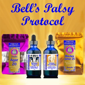 Bell's Palsy Protocol