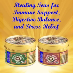 Healing Teas for Immune Support, Digestive Balance, and Vitality