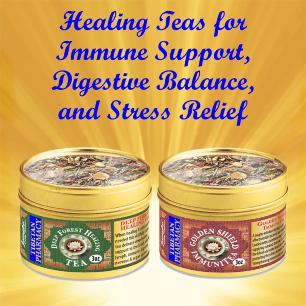 Healing Teas for Immune Support, Digestive Balance, and Vitality