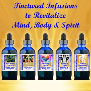 5 Must-Have Infusions