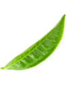 j_lf_1 j_lf_1